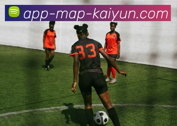 开云appAPP 封面图